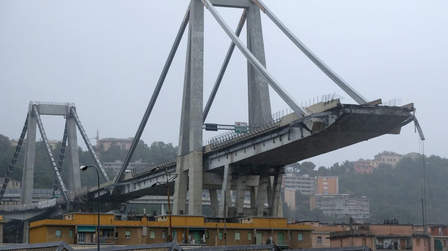 I "No Gronda" sul sito del M5s: "Il crollo del ponte? Una favoletta"