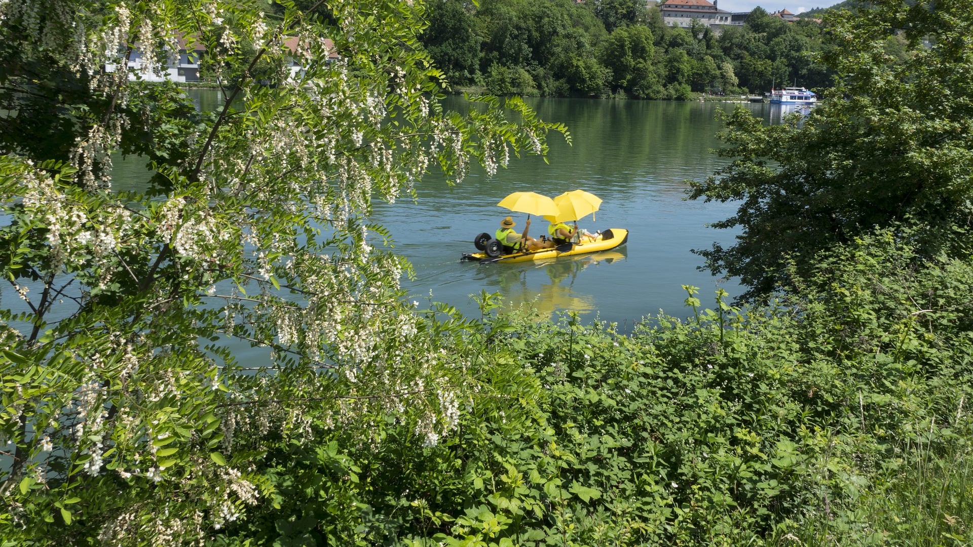 Dalla banana al pedalò: tutto si assicura in estate