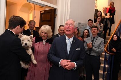 Royal Family, la linea di successione in foto 8