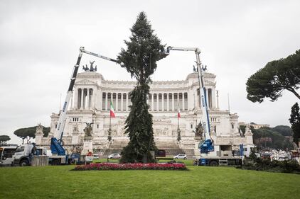 Il nuovo Spelacchio arriva a Roma, ma ha già i rami spezzati 7