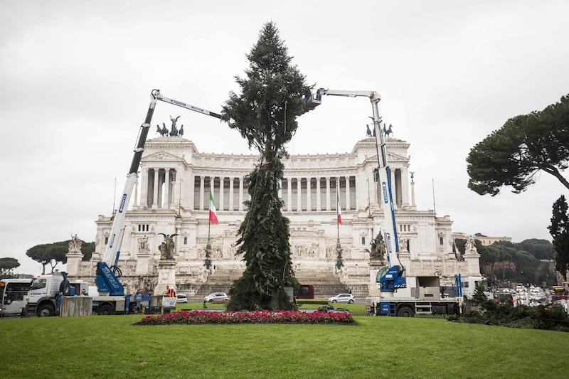 Il nuovo Spelacchio arriva a Roma, ma ha già i rami spezzati 7