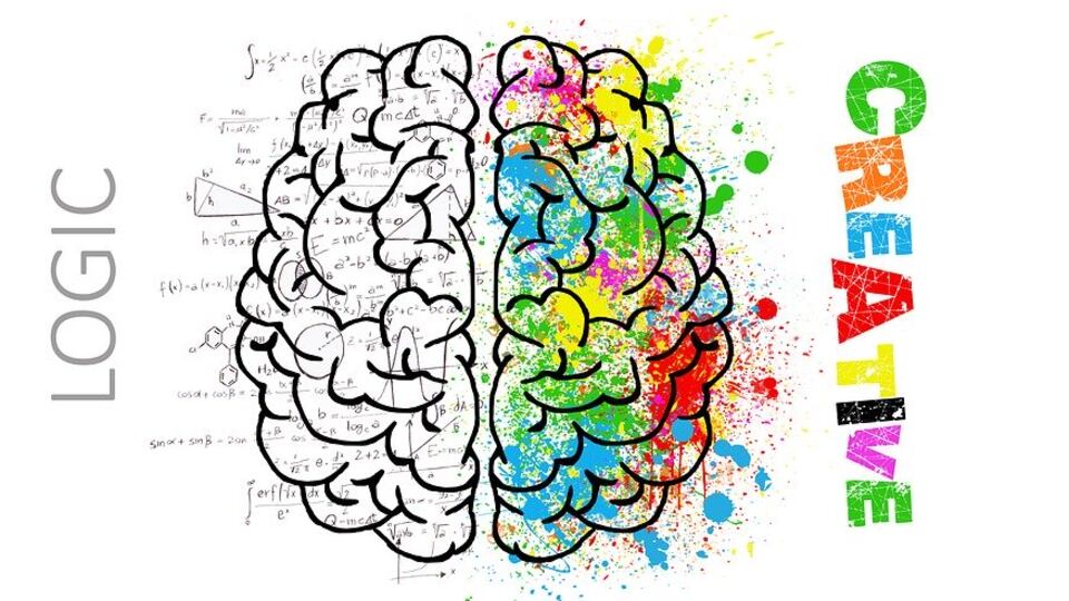Da cosa dipende la confusione tra lato destro e sinistro