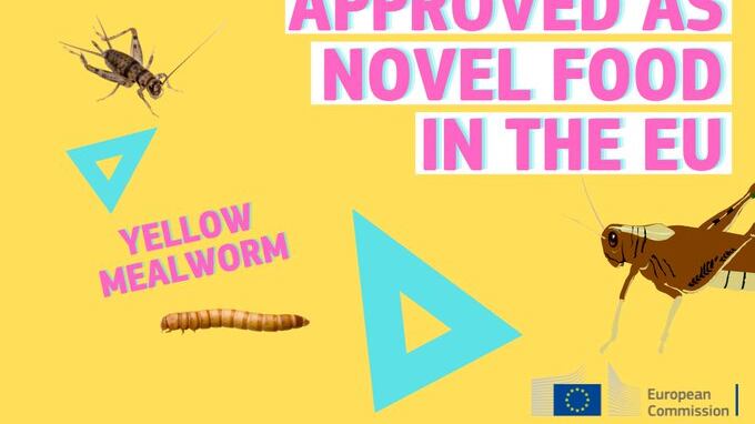 Adesso la Ue fa pure lo spot agli insetti commestibili