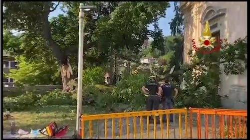 Albero cade davanti alla chiesa di San Pietro a Luino: 8 feriti, di cui 2 gravi 2