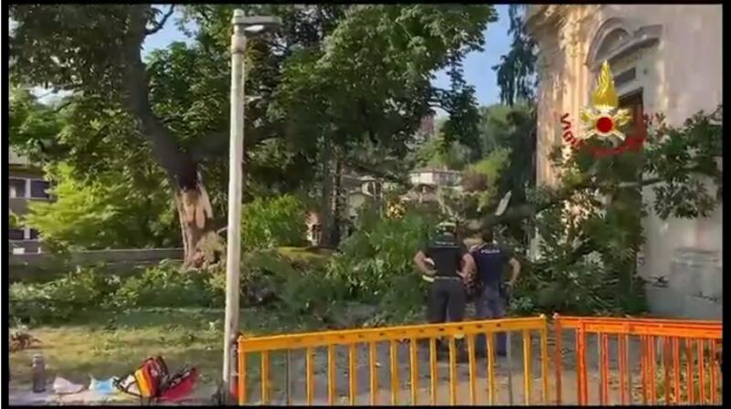 Albero cade davanti alla chiesa di San Pietro a Luino: 8 feriti, di cui 2 gravi 2