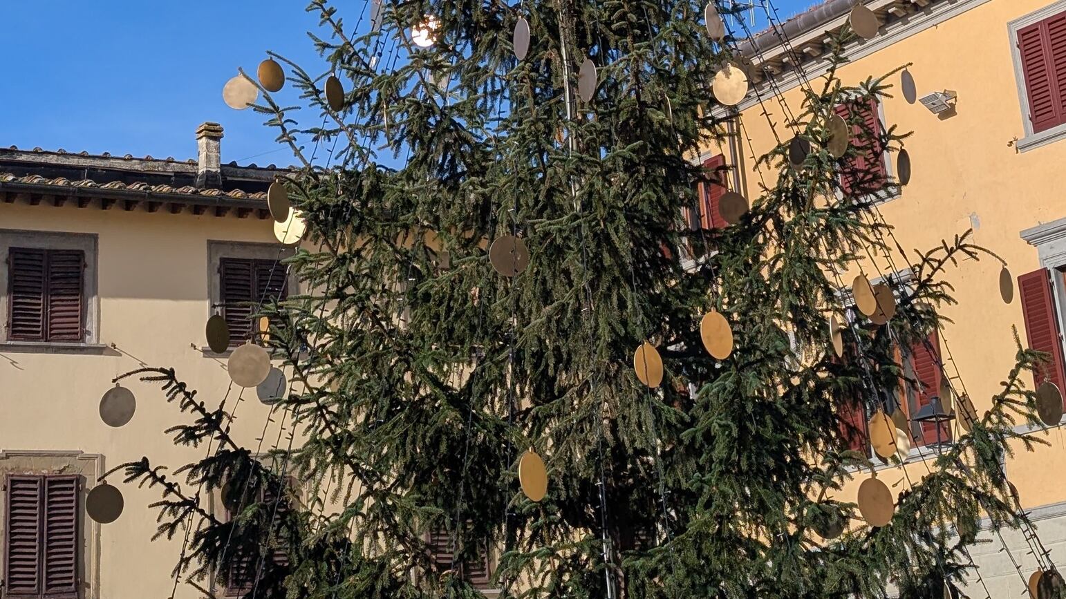 Bandiera della Palestina sull'albero di Natale e cittadinanza ad Albanese: le provocazioni del sindaco pro-Pal