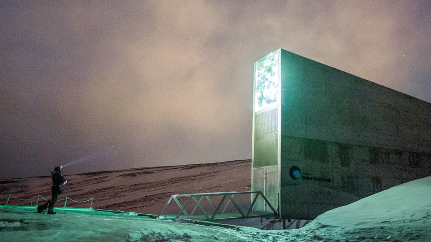 Dentro il bunker dei semi "Salva la memoria del mondo"