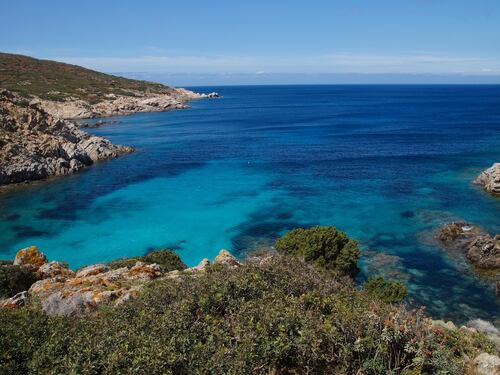 Asinara, da isola carcere a parco naturale