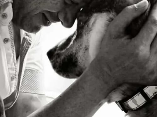 Temptation Island, morto a 53 anni Alessandro Medici: l’ultimo avvistamento e il messaggio dell’ex