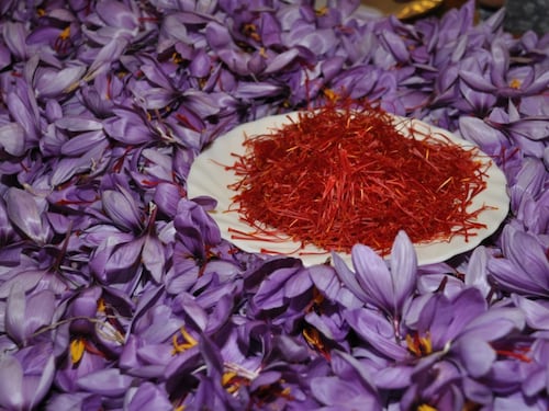 Muore avvelenato per una pasta: attenzione al fiore che "inganna"