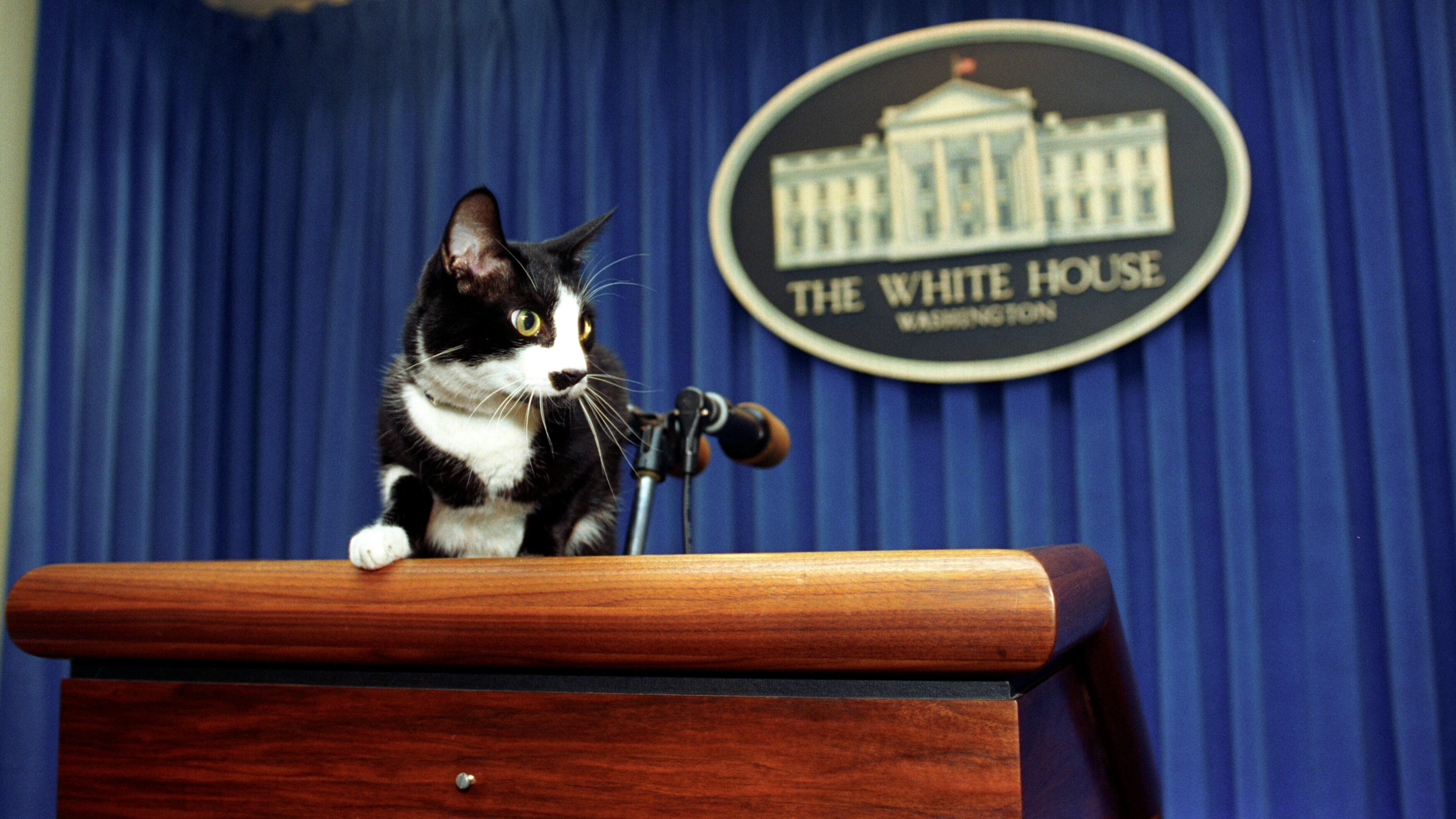 Trump rompe la tradizione: zero animali alla Casa Bianca