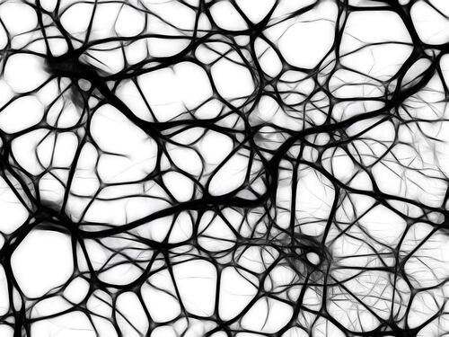 Morbo di Parkinson, scoperta la "coppia molecole" che rallenta la malattia