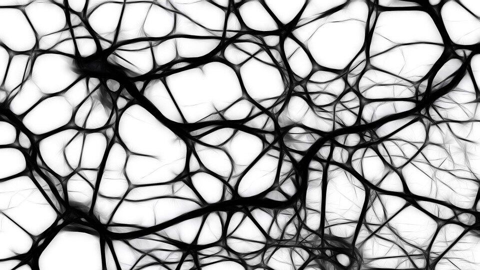 Morbo di Parkinson, scoperta la "coppia molecole" che rallenta la malattia