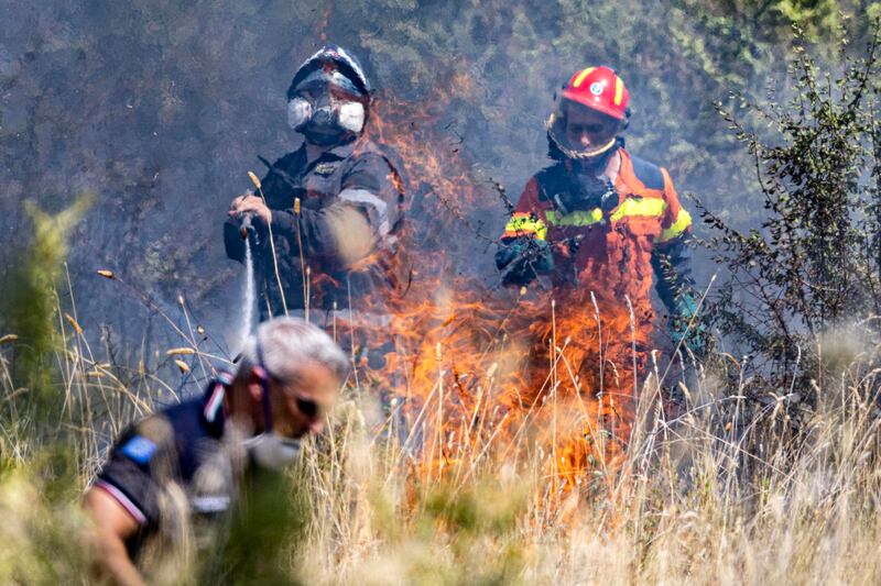 Incendio di pineta Sacchetti a Roma 5