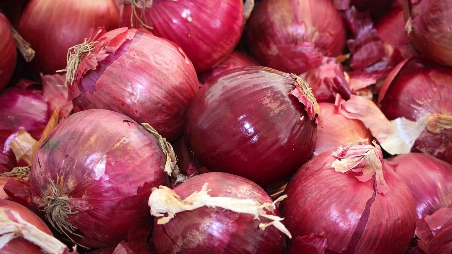 Certaldo, borgo rosso tra Boccaccio, Spalletti e le cipolle
