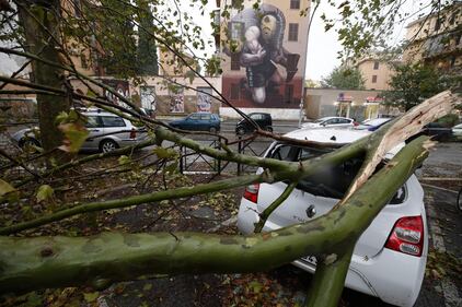 Maltempo a Roma, alberi caduti in tutta la città 8