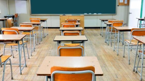 Trieste, bimba di 8 anni portata via da scuola e inserita in comunità: la madre non la vede da mesi