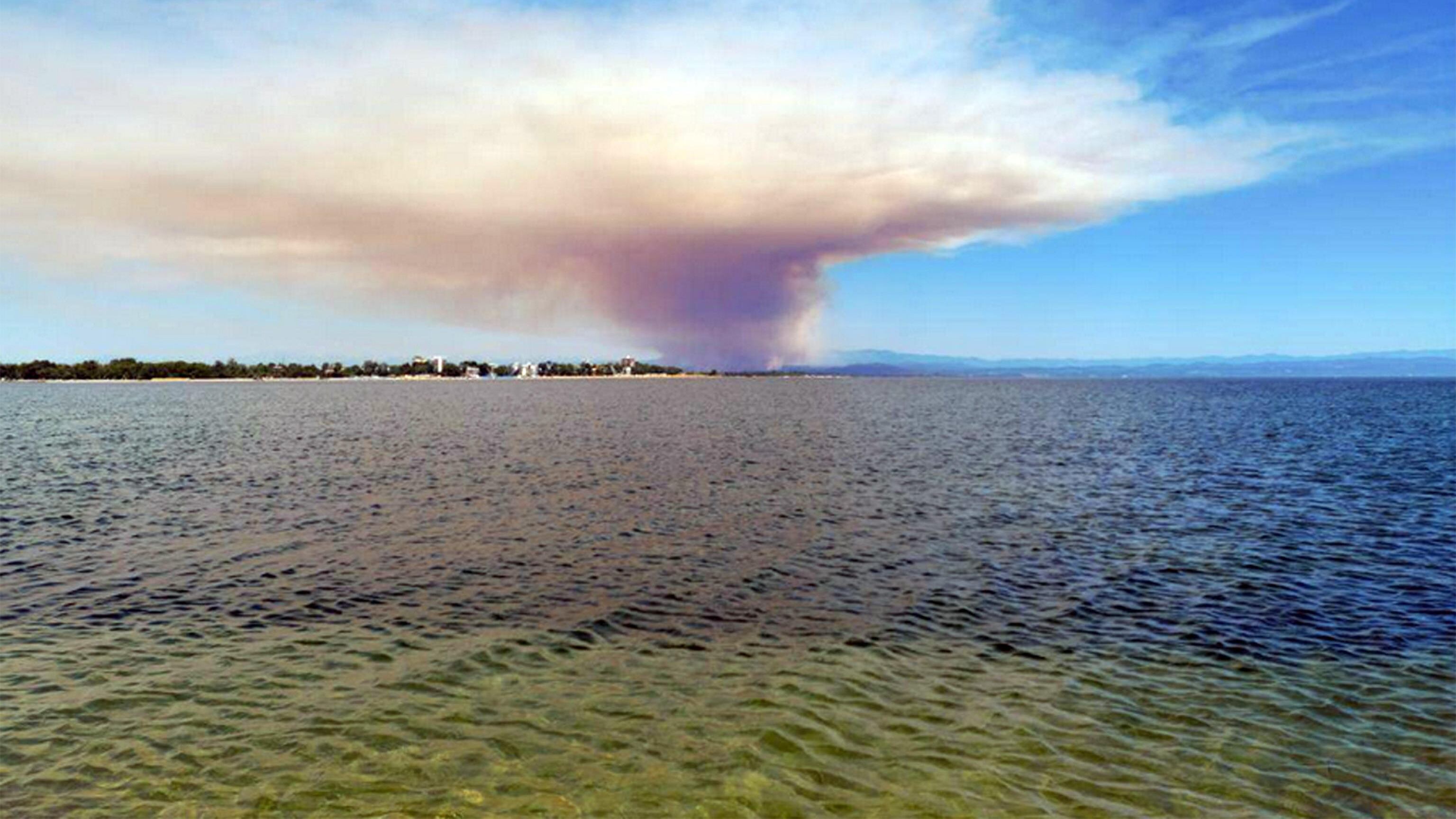 In Versilia e Carso 1.500 sfollati per gli incendi. Protezione civile al lavoro, muore una volontaria