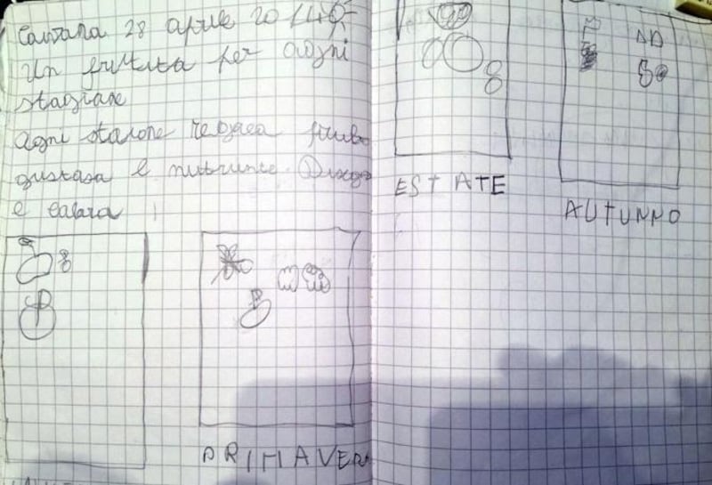 Ecco i disegni di Fortuna Loffredo 7