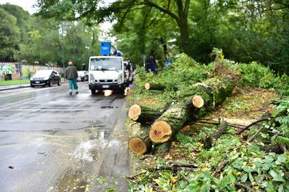 Strade allagate e alberi caduti: nubifragio si abbatte su Milano 10