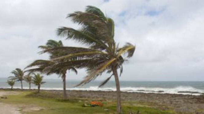 Bilancio uragano Michael: 6 morti negli Usa