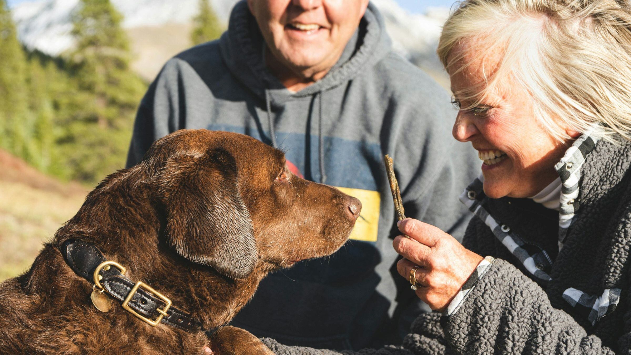 Over 65, vivere con un cane fa invecchiare più lentamente