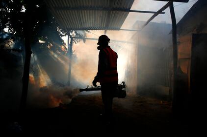 L'incubo Zika 1