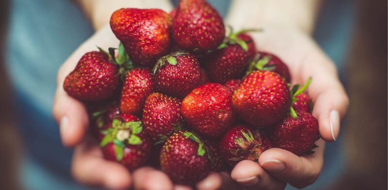 Fragole rosse