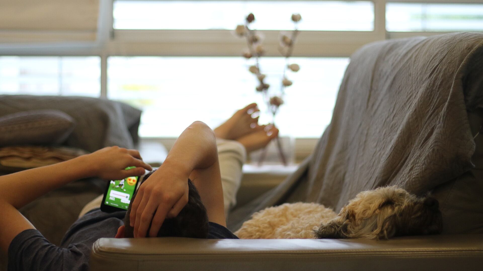 Coronavirus, come organizzare la tua giornata in casa