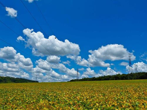 L'autunno tarda ad arrivare: "Un'anomala ondata di caldo"