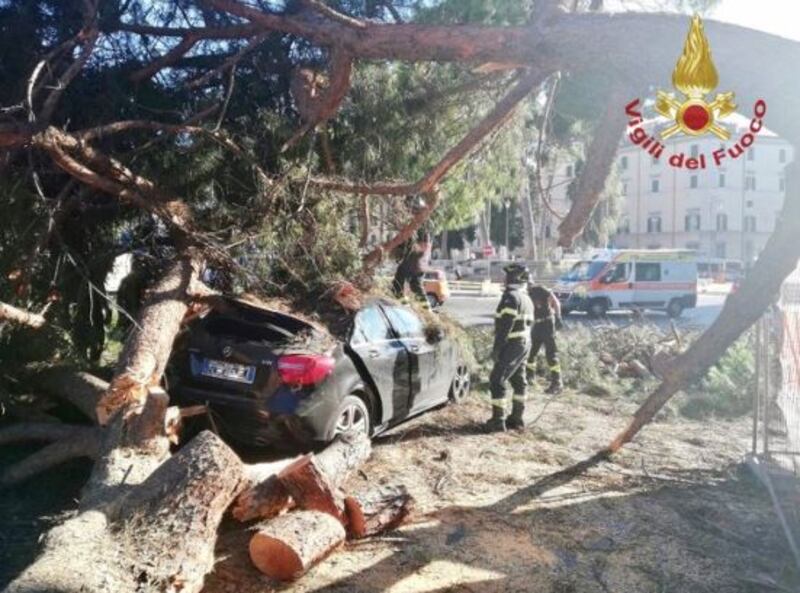 Roma, albero cade in centro e colpisce un'auto in transito 2
