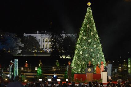 L'albero di Natale di Obama 2