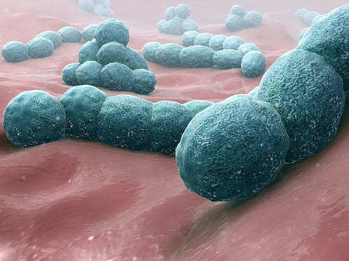 Meningite batterica, cos'è e come si cura