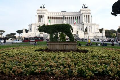 A Roma la siepe "a forma di lupa"... che sembra un'orsa 4