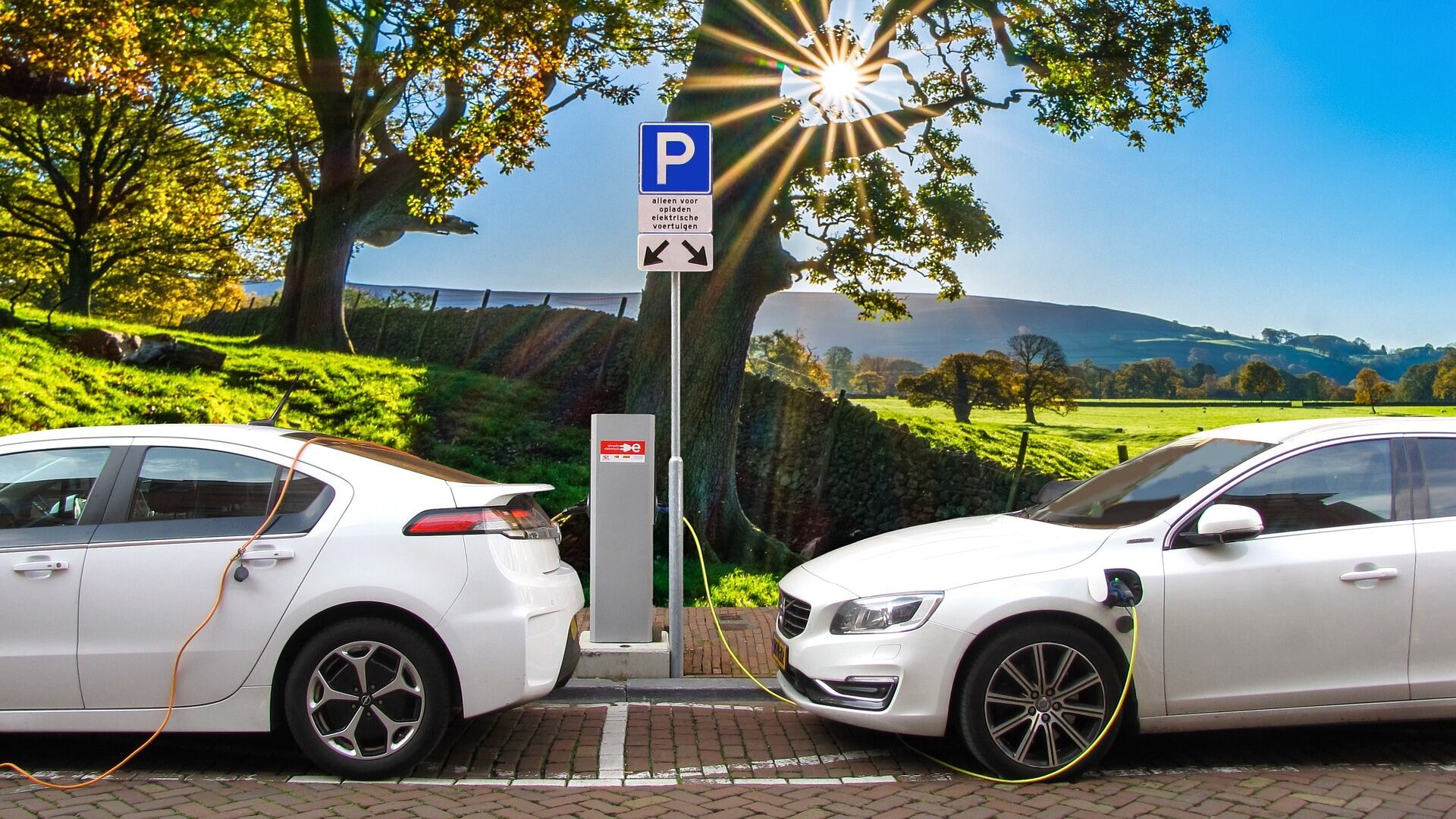 Ecobonus: ecco le auto che si comprano con gli incentivi