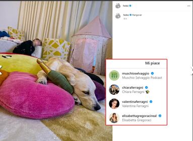 I "Mi Piace" di Chiara Ferragni sui social 1