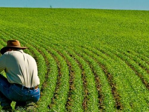 La proposta di Razzi: "A scuola si insegni l'agricoltura"