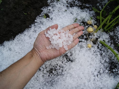 Grandine, il sito che avvisa prima del pericolo: ecco come sapere dove colpiranno le supercelle