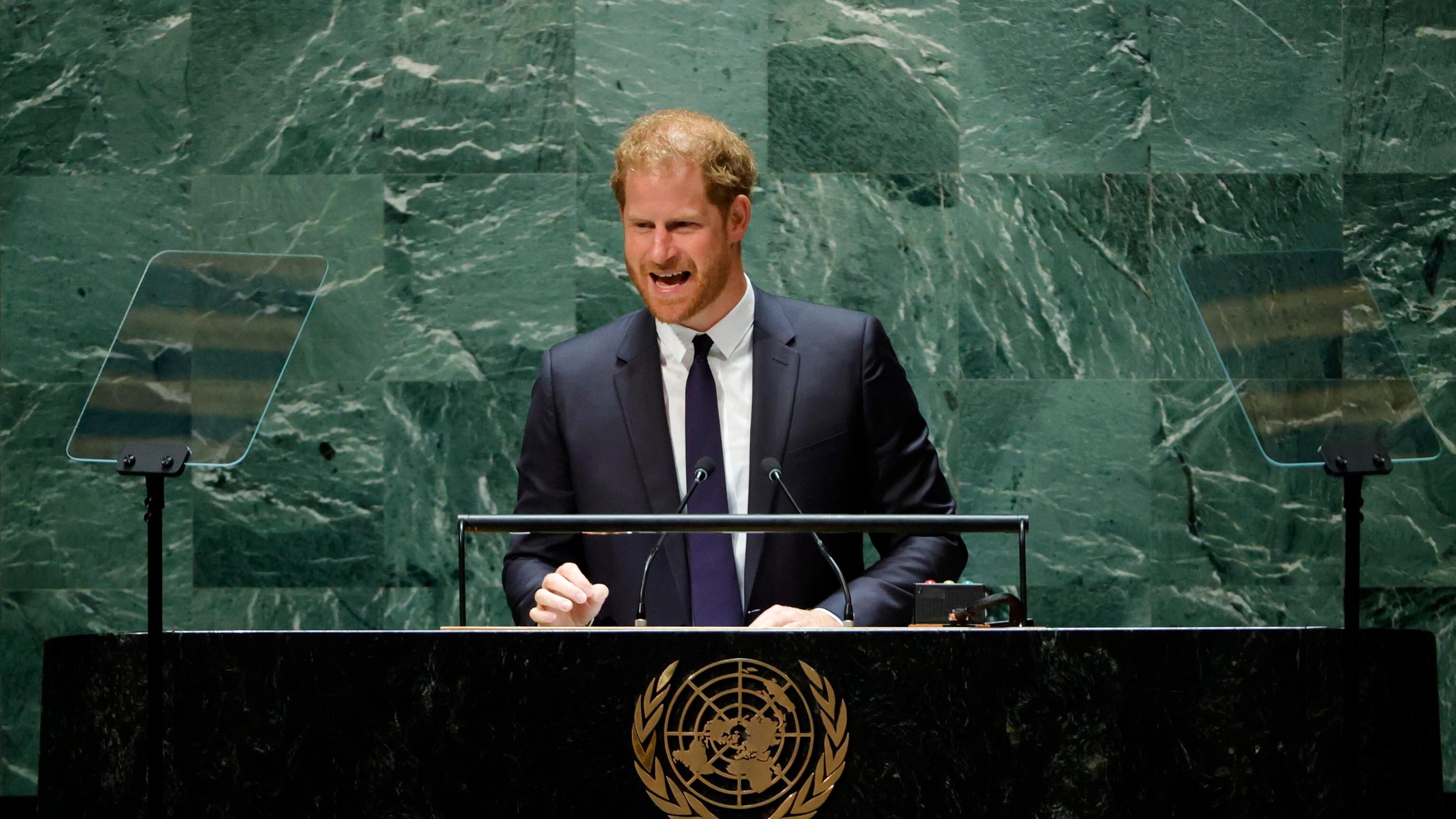 Harry fa l'ambientalista: "Ma intanto si sposta col jet privato"
