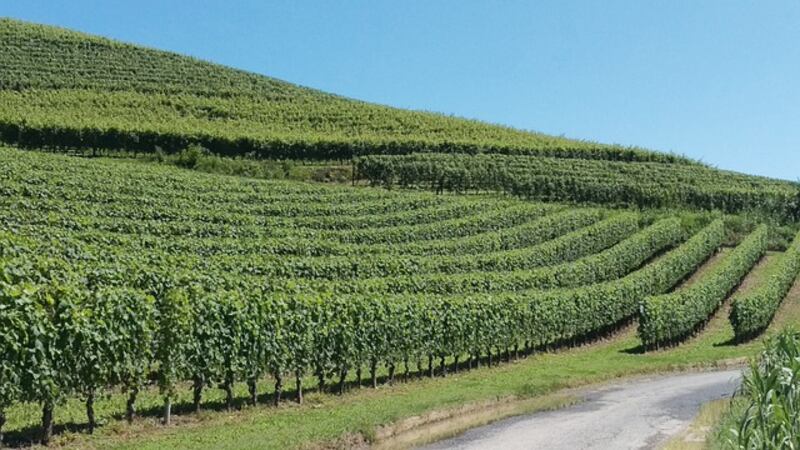 Langhe