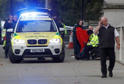 Londra, un'auto sulla folla davanti al museo di storia naturale 2