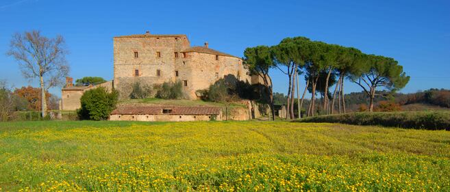 Castelli da favola in vendita  8