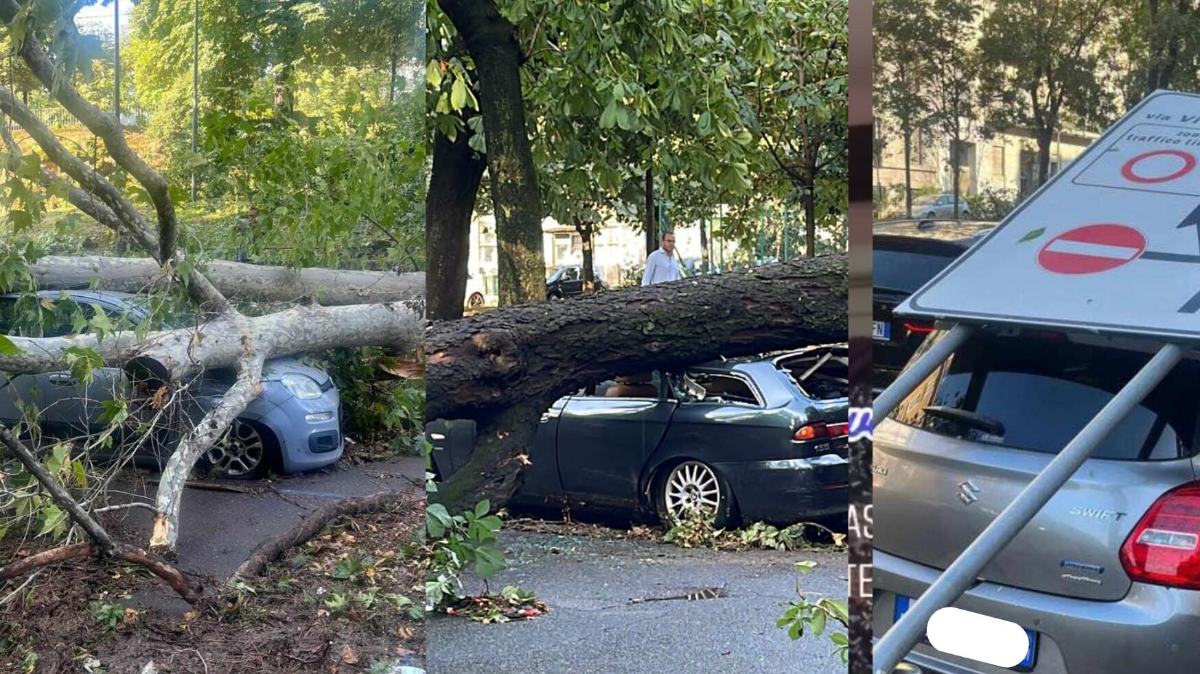 Auto devastata da grandine e alberi? Ecco come ottenere il rimborso