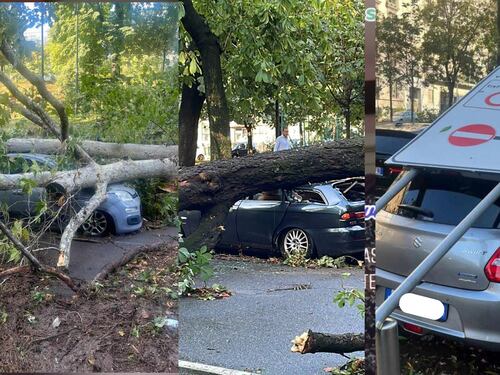 Auto devastata da grandine e alberi? Ecco come ottenere il rimborso