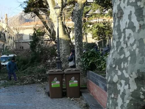 Salerno, cade un albero per il maltempo e uccide un 65enne