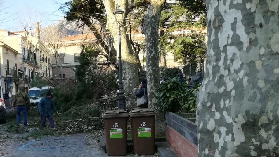 Salerno, cade un albero per il maltempo e uccide un 65enne