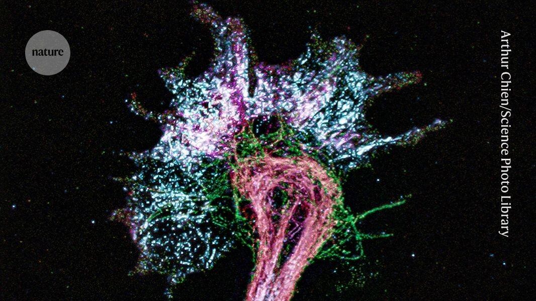 La materia si gonfia, il microscopio vede: così il MIT ingrandisce l’invisibile