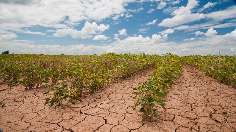"Il clima cambia ogni 800 anni Nel Medioevo tre gradi in più di oggi"