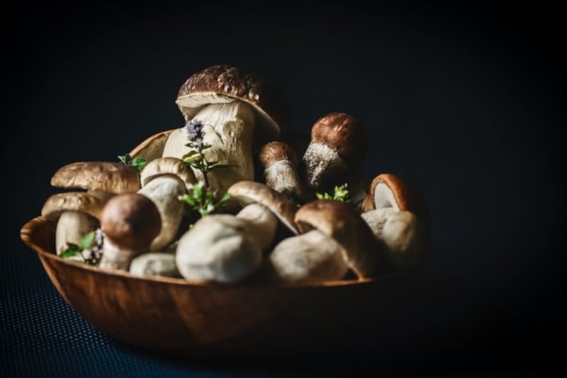 Funghi