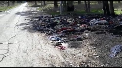 Le donne di Borgo Mezzanone: "È il luogo degli orrori" 15